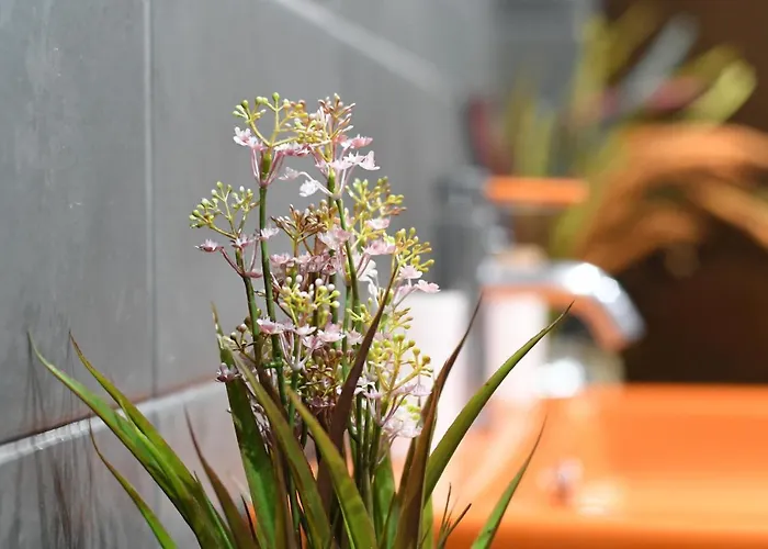 Double A Luxury Daire