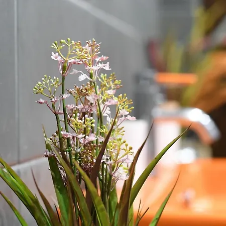 Double A Luxury アパート